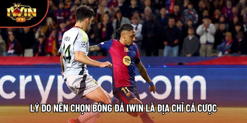 Lý do nên chọn bóng đá Iwin là địa chỉ cá cược